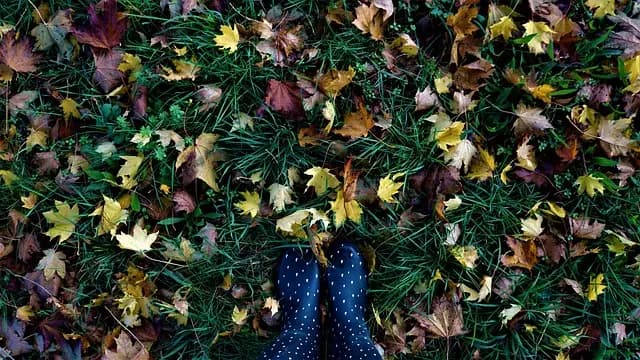 Cómo Elegir Prendas de Moda Accesible para el Otoño