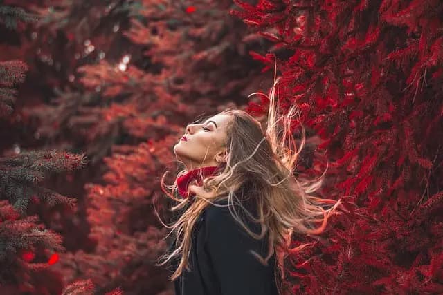 Cómo Crear un Look Accesible y Chic para el Otoño