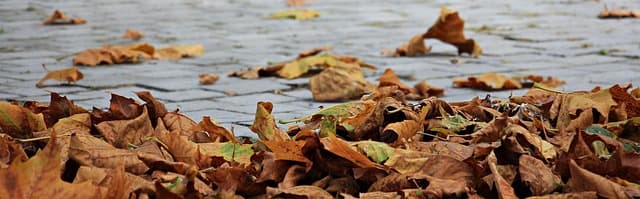 Cómo Elegir Ropa Accesible y Sostenible para Este Otoño